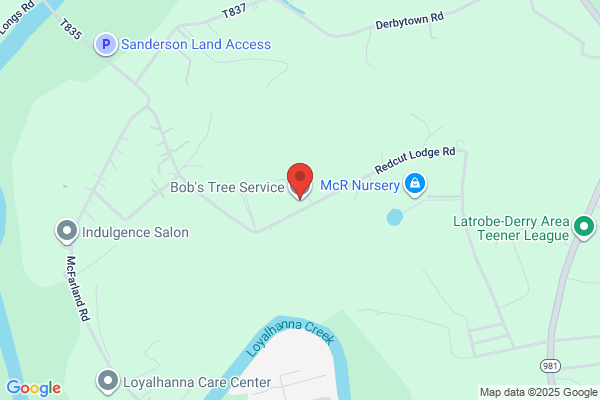 Bob's Tree Service