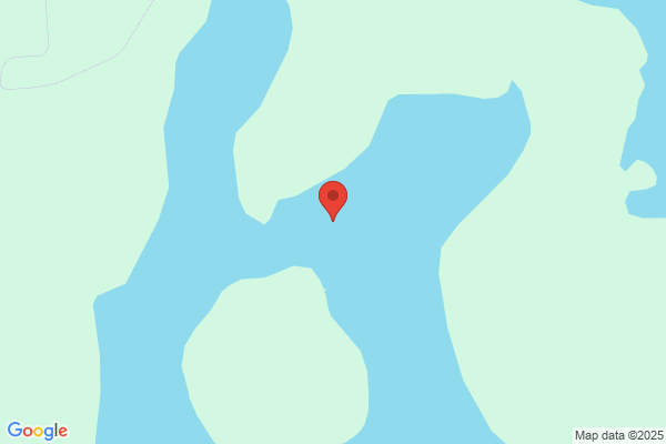 Bloom Lake