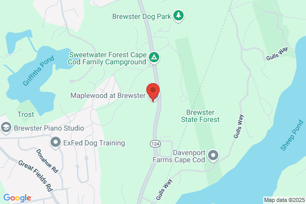 Maplewood at Brewster
