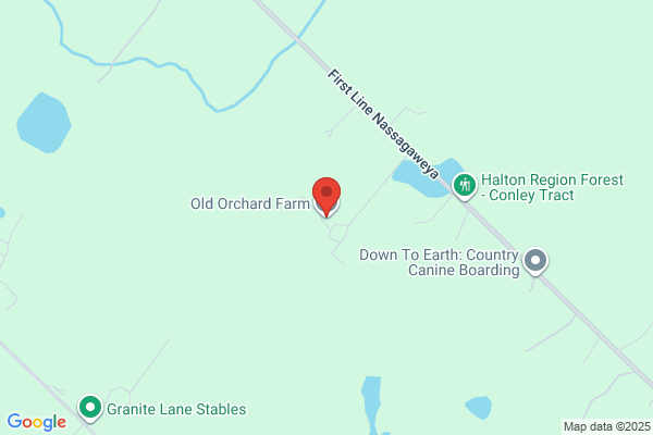 Olde Orchard Farms