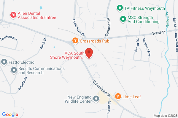 VCA South Shore Weymouth Animal Hospital