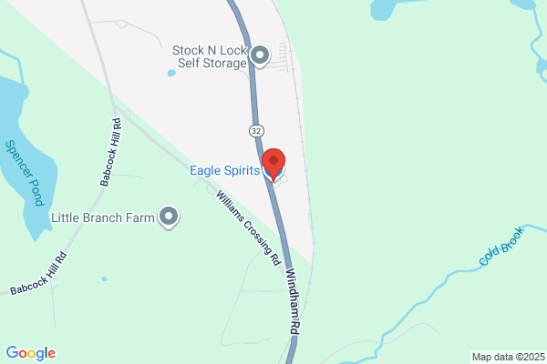 Eagle Spirits