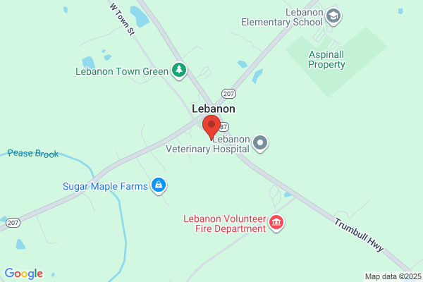 Lebanon Green Market