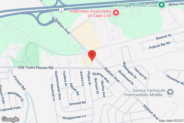 South Shore Auto Parts