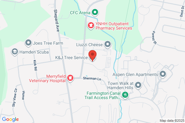K & J Tree Service