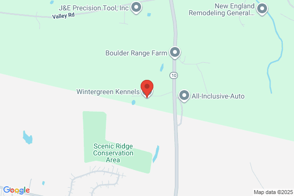Wintergreen Kennels