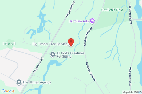 Big Timber Tree Service