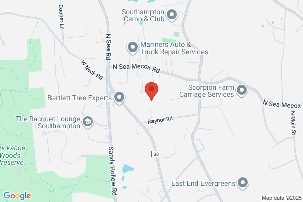 Evergreen Tree & Landscaping