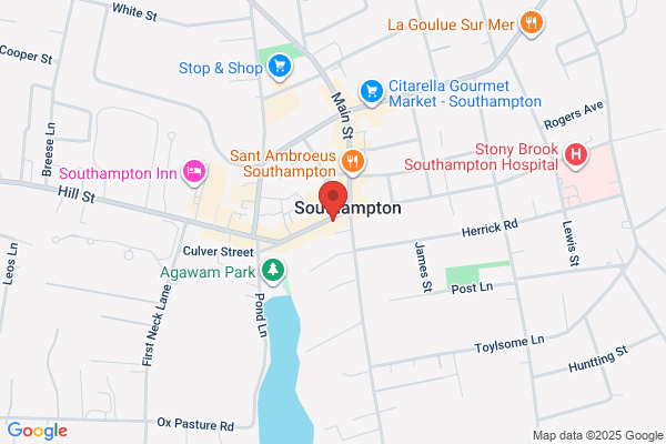 Carleen Ligozio Llc