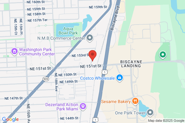 51 Auto Auction