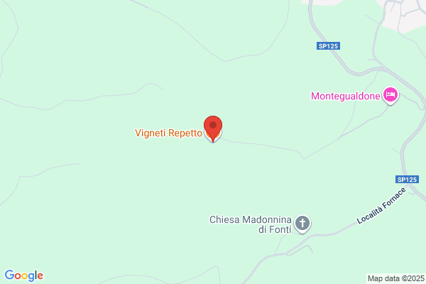 Vincent F Repetto & Company
