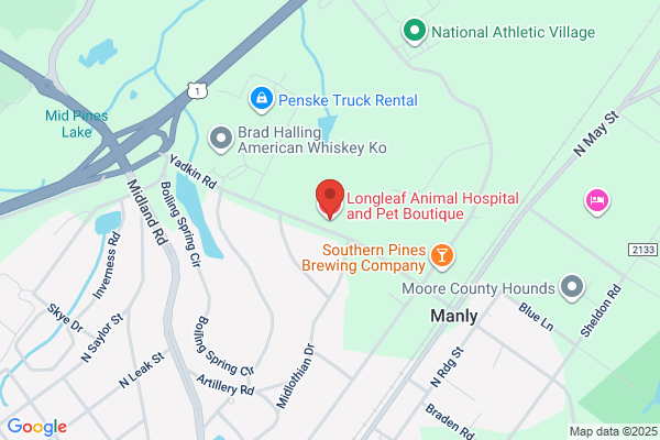 Pet Boutique the