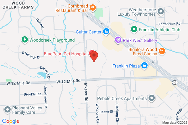 Michigan Cosmetic Surgery