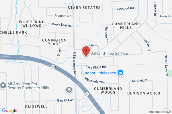 Oakland Tree Removal & Trimming