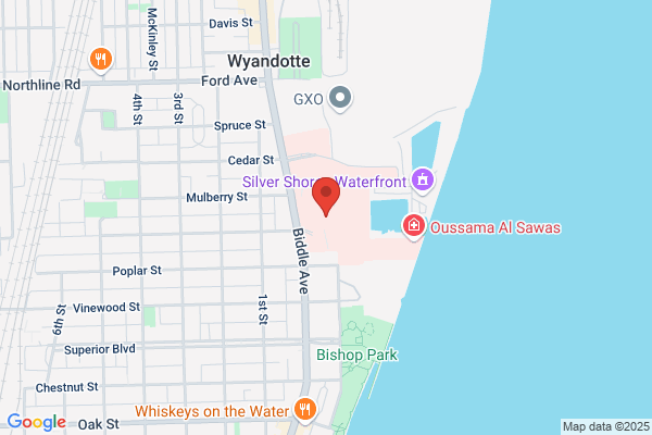 Downriver Surgeons