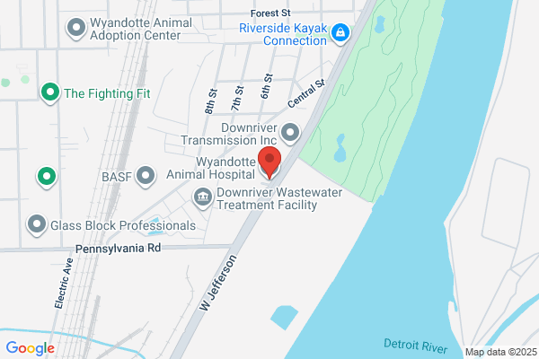 Wyandotte Animal Hospital