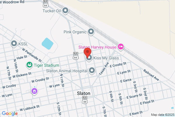 Slaton City of, Animal Control