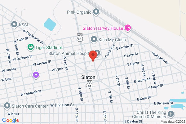 Slaton City of, Police Dept