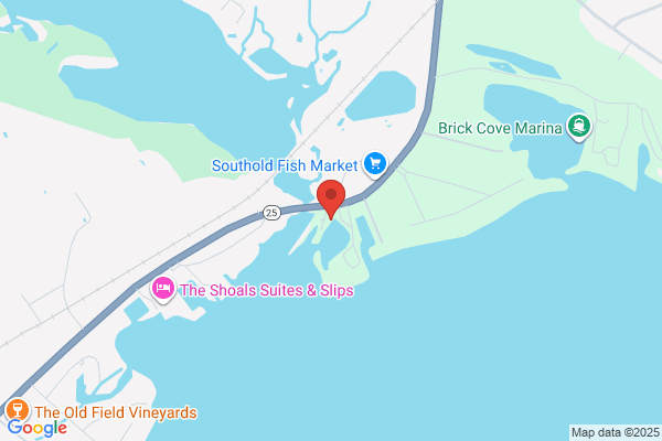 Peconic Jet Ski