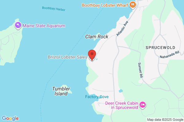 Bristol Lobster Sales