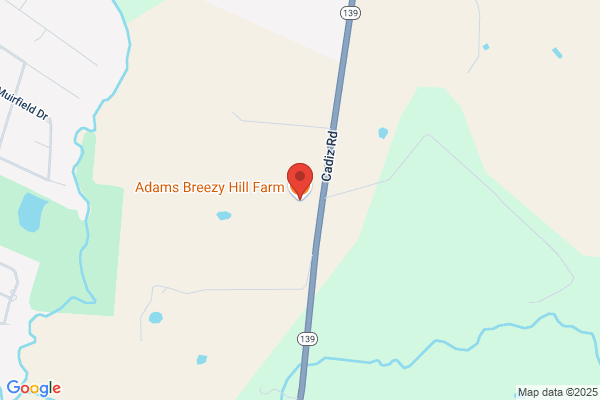 Breezy Hill Farms