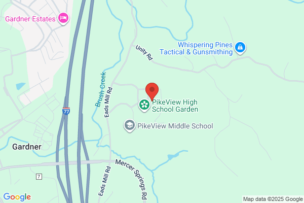 Schools, Pikeview High