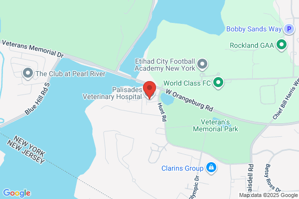 Palisades Veterinary Hospital