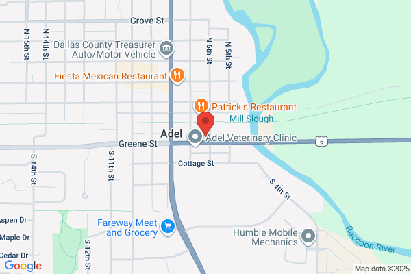 Adel Auto Parts Co Inc