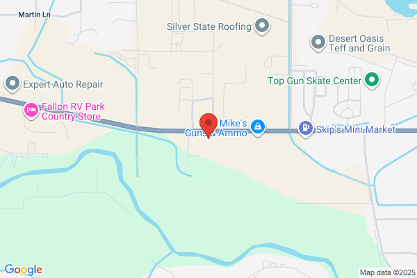 Drive Line & Gear Service of Fallon
