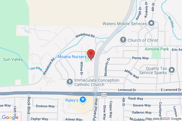 G & G Nursery & Landscaping, Nursery