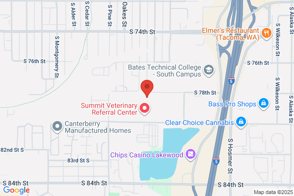 Burkhart Dental