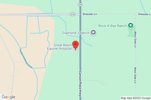 Equine Veterinary Care of Nevada