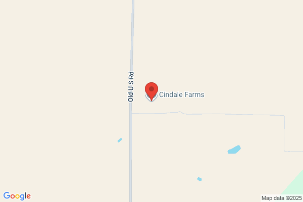 Condale Dairy