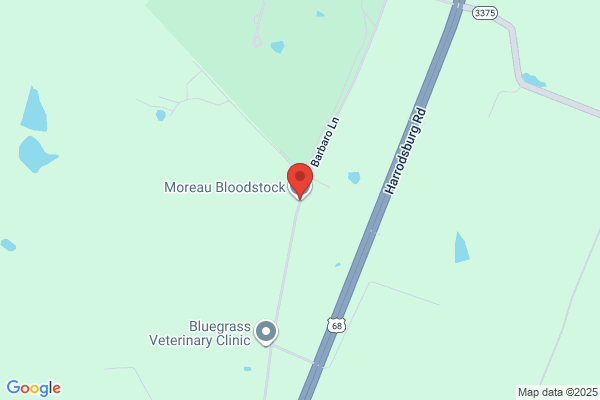 Moreau Bloodstock International