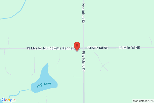 Ricketts Pet Resort