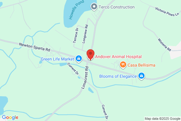 Andover Animal Hospital