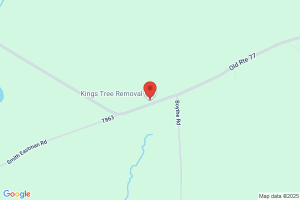 King's Tree Removal