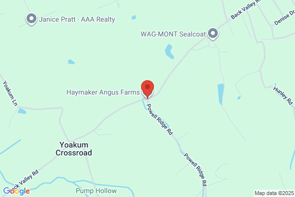 Haymaker Angus Farms