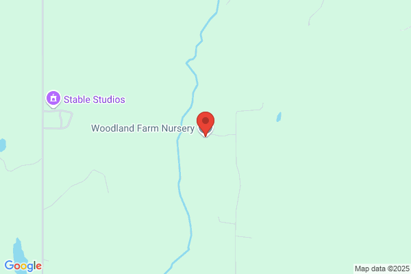 Woodland Farm Nursery