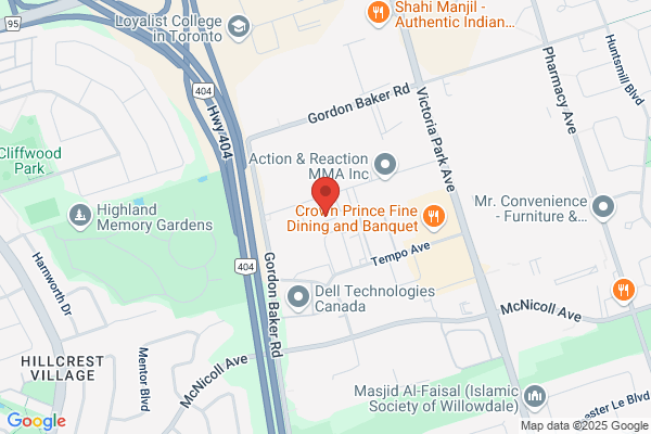 Fiberlink Inc