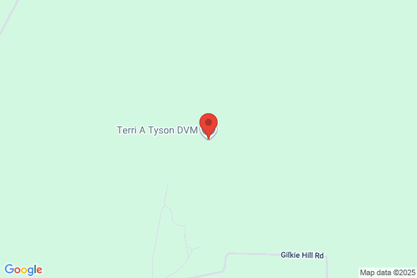 Tyson Terri A DVM
