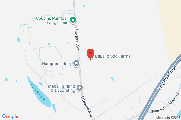 De Lalio Sod Farms Inc