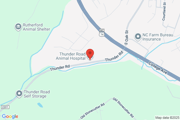 Thunder Road Animal Hospital