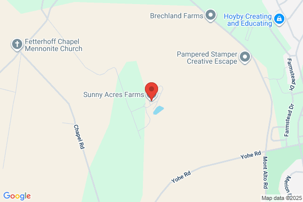 Sunny Acre Eggs Inc