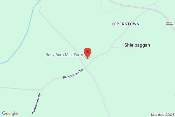 Busy Barn