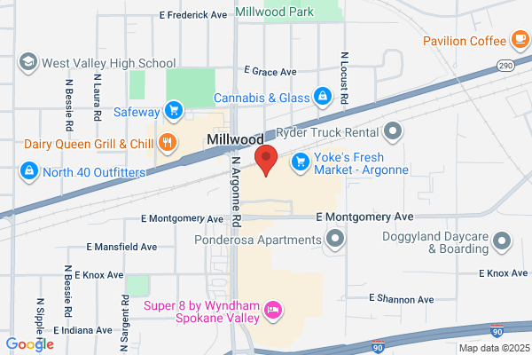 AutoZone Auto Parts