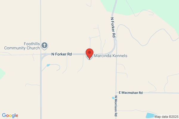 Marcinda Kennels