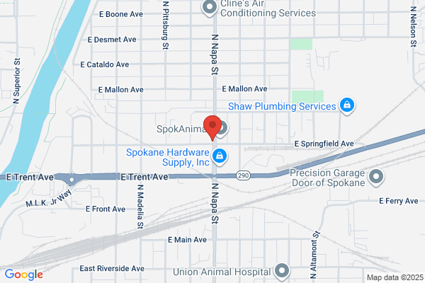 Special Mobility Services