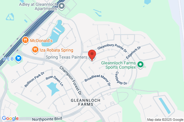 Spring Texas Painters