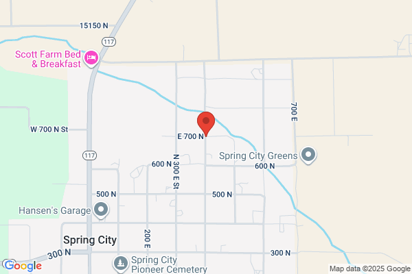 Sanpete Veterinary Service